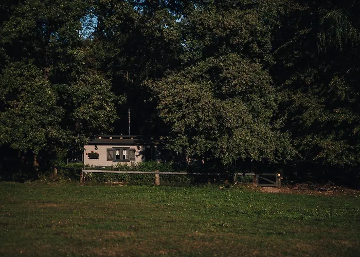 Chata U Lesa Ranch Na Hranici